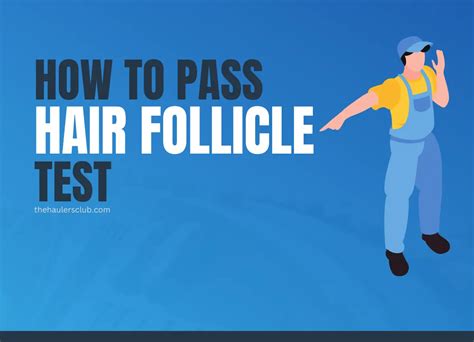 It has the ability to detect. . How to pass a hair follicle test for truck drivers